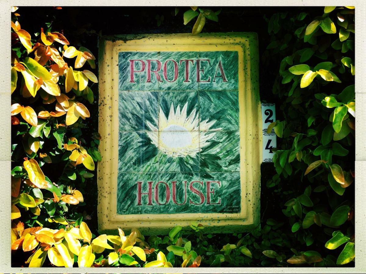 Azores Protea House Apartment ลาโกอา ภายนอก รูปภาพ
